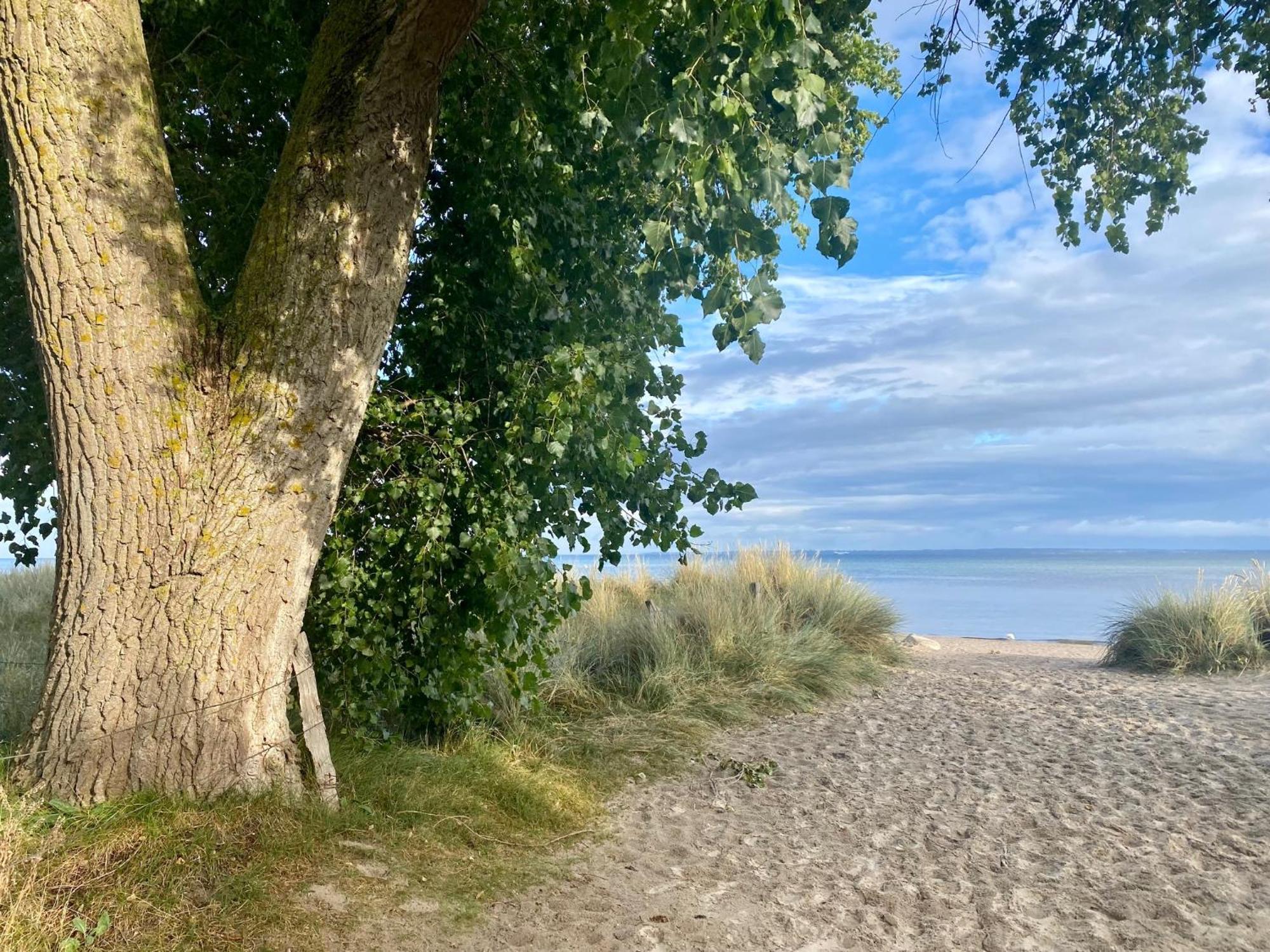 Feriendorf Suedstrand Haus 36 Pelzerhaken Eksteriør billede